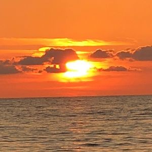 Meet your Posher, Avigail